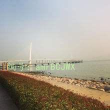 Ҿ