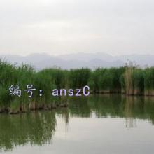 ˳